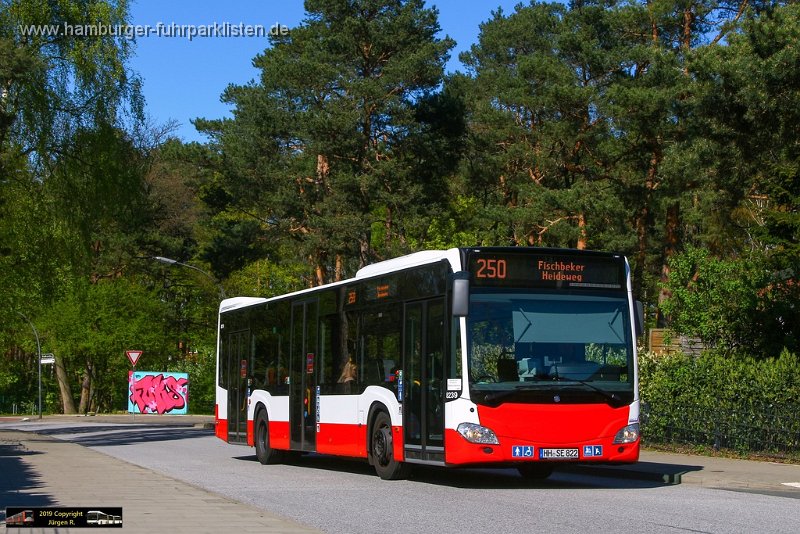 26) 8239-11,SBG,JN.jpg